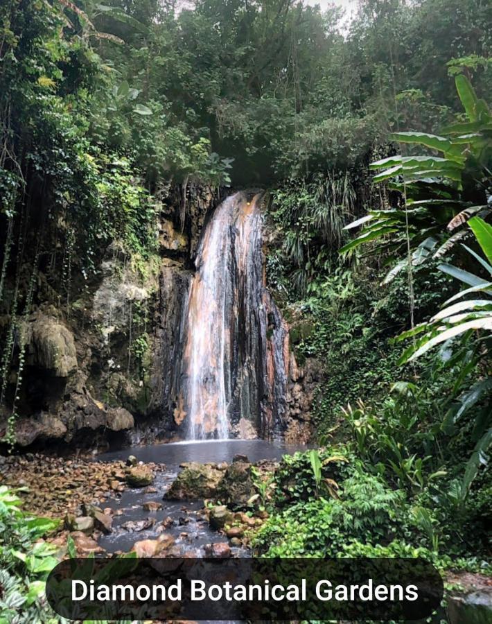 Bencastle Villa Gros Islet Eksteriør bilde