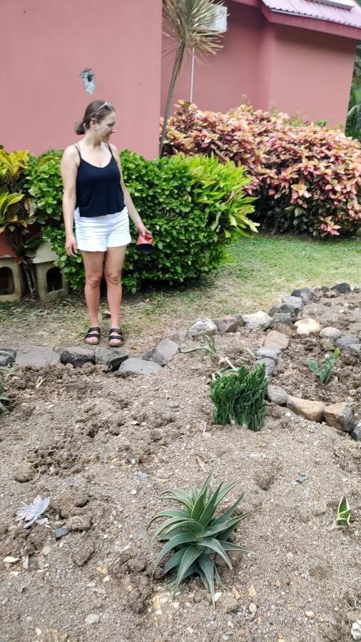 Bencastle Villa Gros Islet Eksteriør bilde